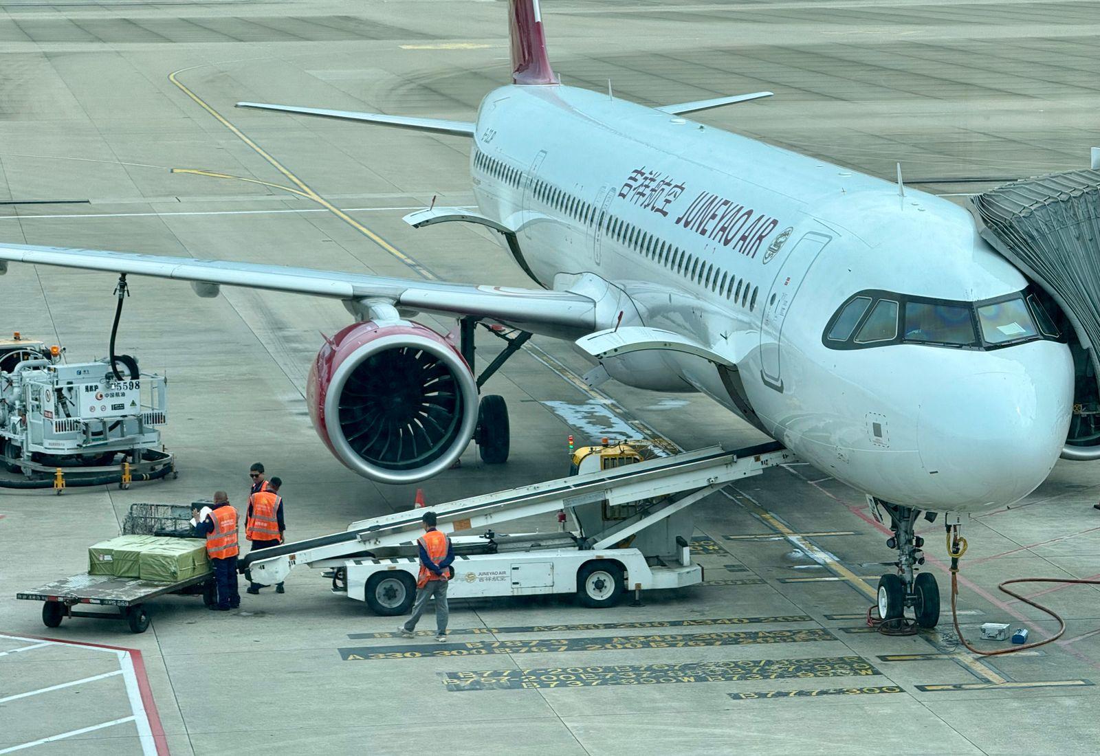 Cargo being loaded onto a freighter aircraft on the apron at an airport terminal.